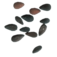 Black Sesame