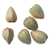 Buckwheat