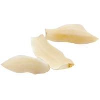 Bulbus Lilii