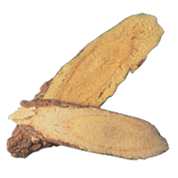 Radix Ophiopogonis