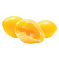 Ginkgo