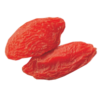 Wolberry/Goji