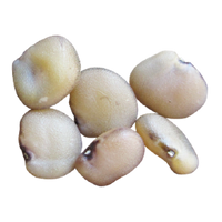 Guar Beans