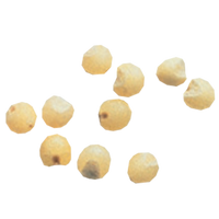 Millet