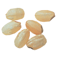 Unpolished Rice