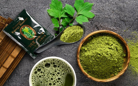 Ashitaba Benefits: The Japanese “Tomorrow’s Leaf” Superfood – Percent