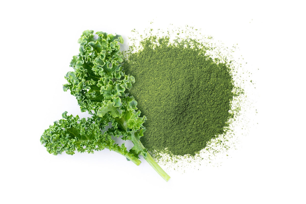 Kale Benefits: Why This Leafy Green Deserves a Place in Your Daily Diet